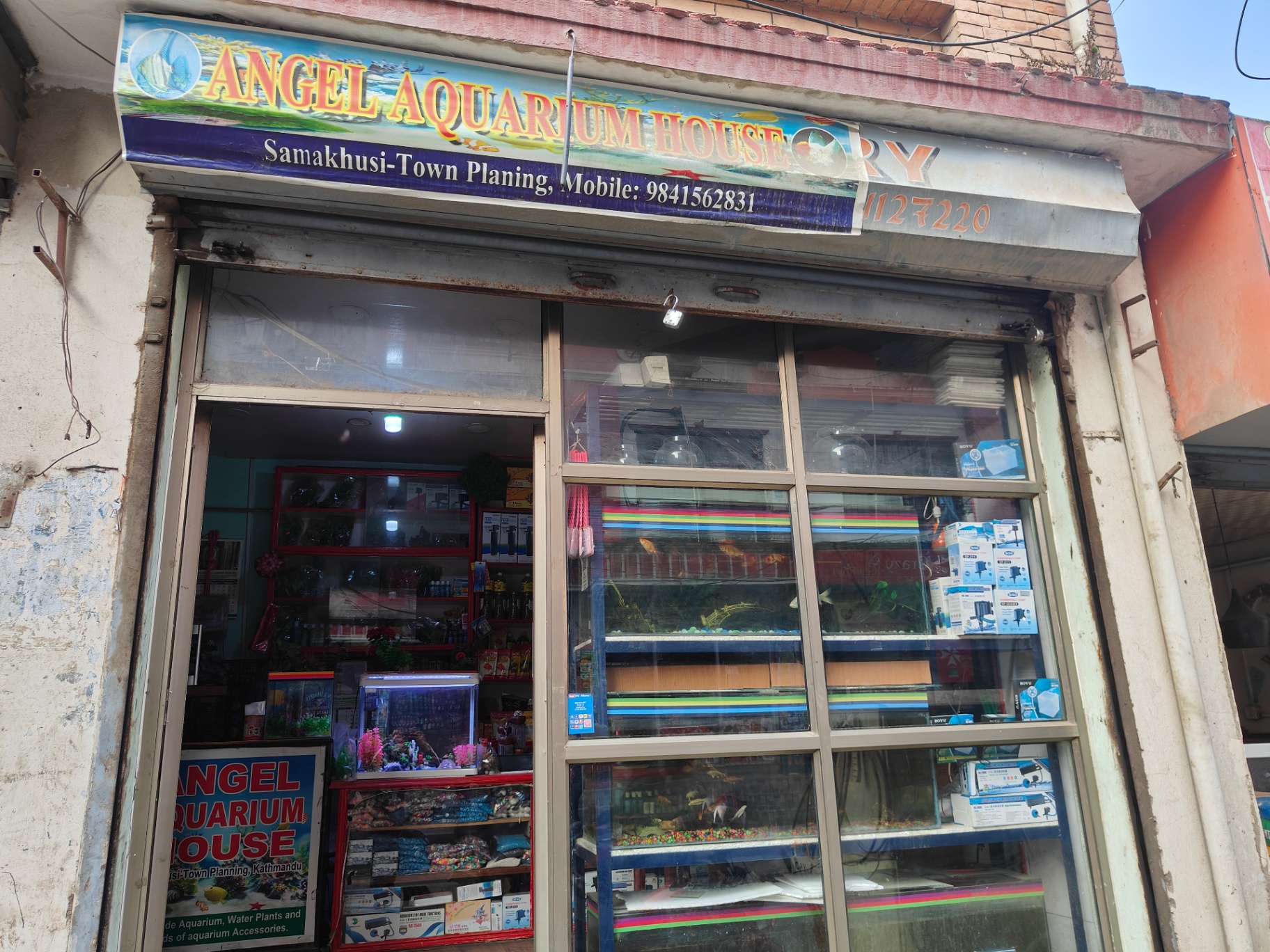Angel Aqarium storefront