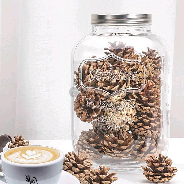 Mason Jar | Cookie Jar | 8l