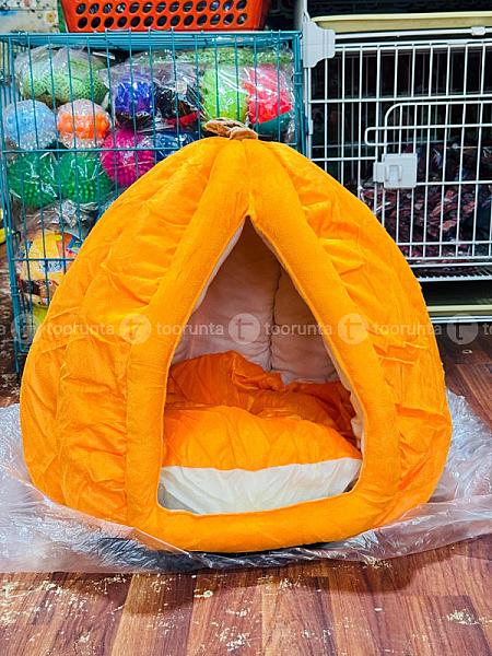 Dog & Cat House
