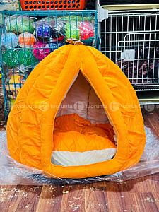 Dog & Cat House