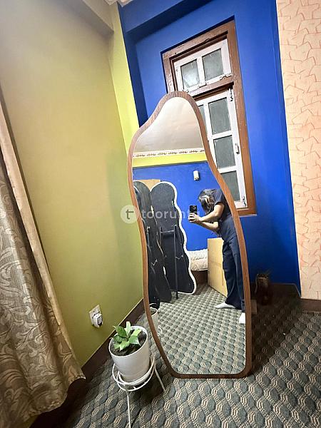 Wooden Dolphin Stand Mirror for Dressing