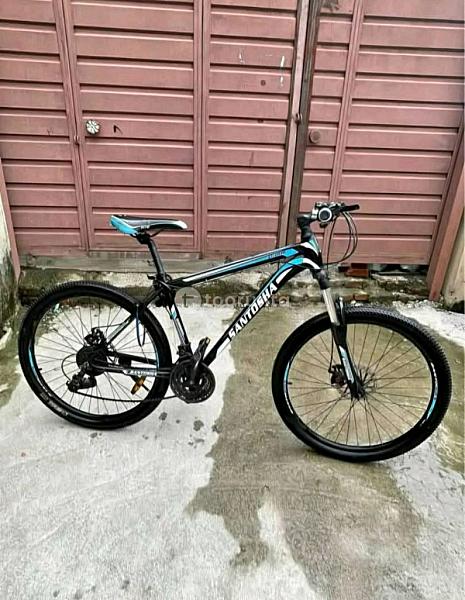 Santosha Mountain Bike