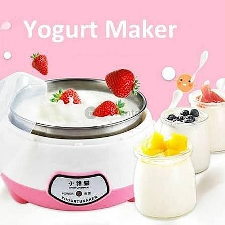 Dahi Maker Yogurt Culture Machine Plastic And Stainless Steel 1l Automatic Yogurt Make
