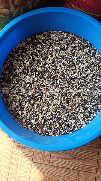 Organic Rajma(jumla Kalo Simi/kirbire Simi)