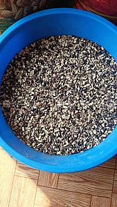 Organic Rajma(Jumla kalo simi/kirbire simi)