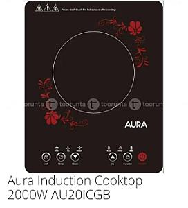 Induction 2000w