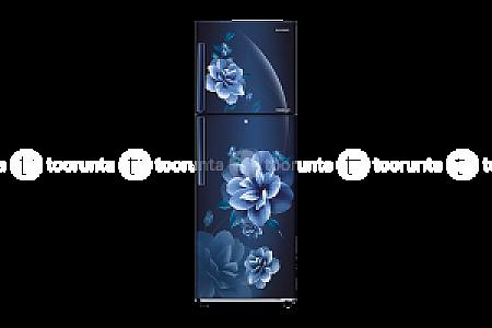 Samsung Double Door Refrigerator, 253L