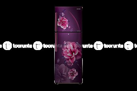 Samsung Double Door Refrigerator, 253L