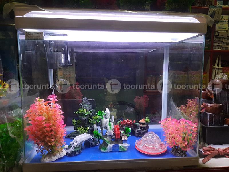 Aqarium Set