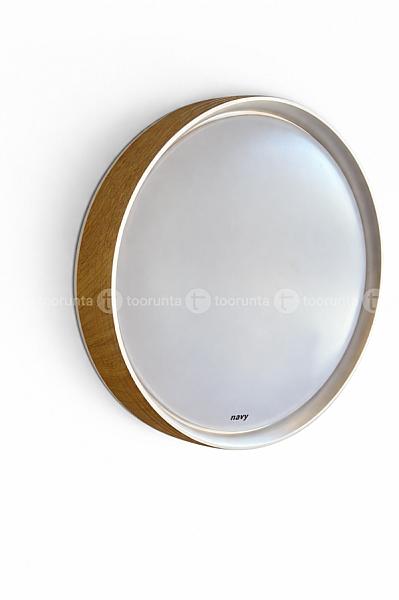 Led Ceiling Light