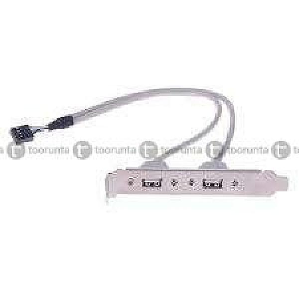 Usb 2-port To 9-pin Motherboard Header Adapter Converter
