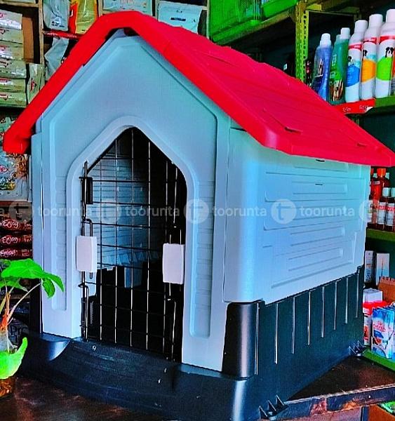 Dog House