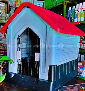 Dog house