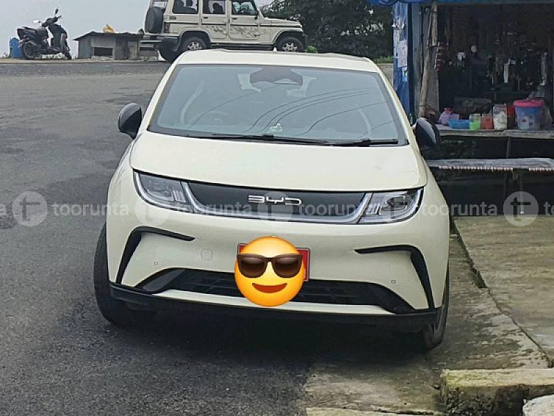 BYD Dolphin For Sale