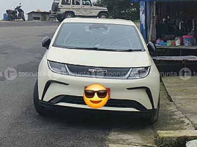 BYD Dolphin For Sale
