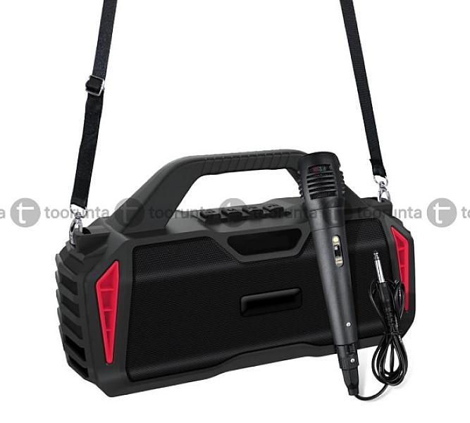 New Rixing Nr6011 Outdoor Karaoke Tws Bluetooth Speaker With Microphone