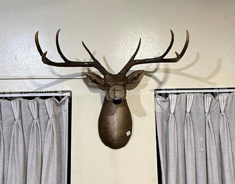 All Hanging Decore