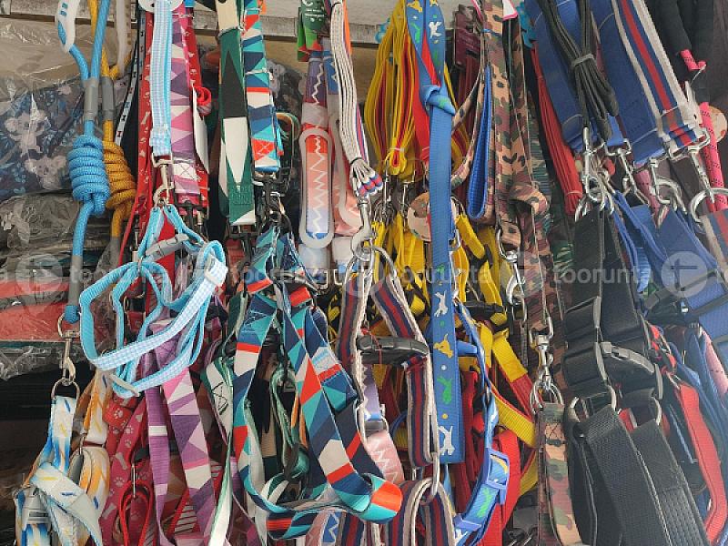 Dog Body Belt