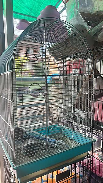Bird Cage