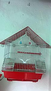 Bird cage