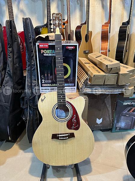 Hovner Guitar