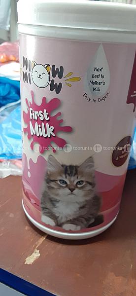 Kitten First Milk