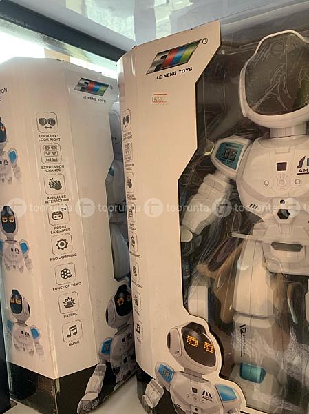 Intelligent Programming Robot