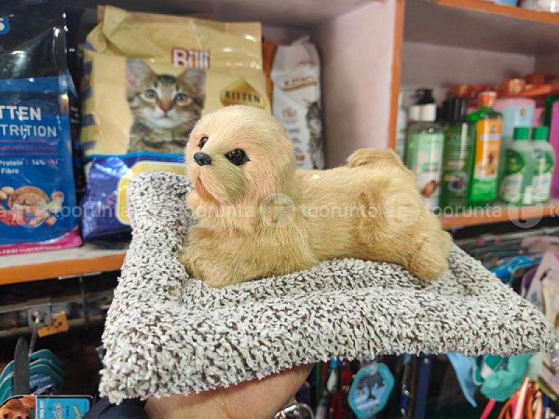 Pet Dog Toy