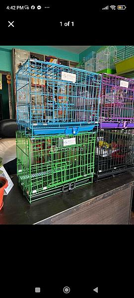 Cage