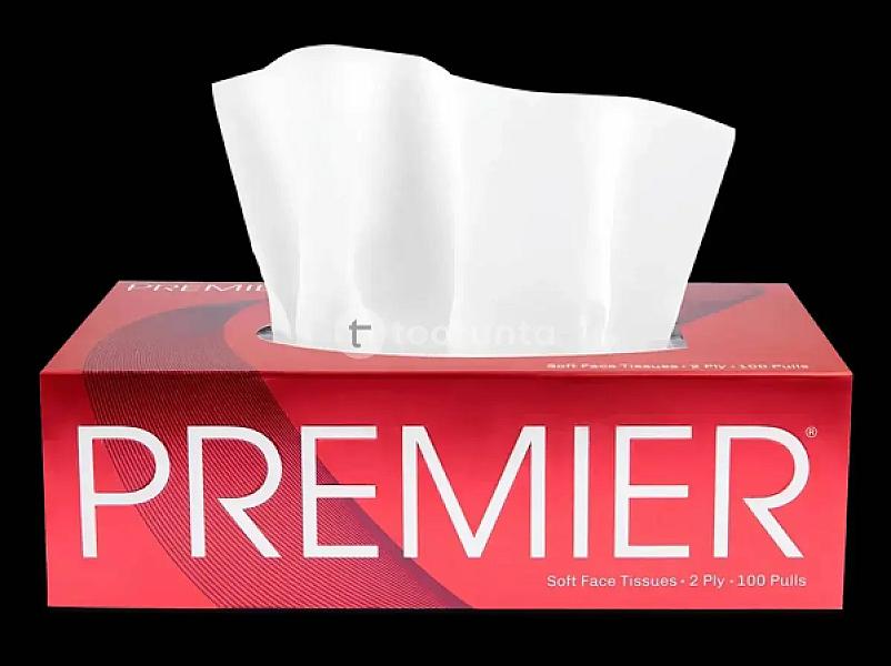 Premium Facial Tissue 100 Pulls (2 Ply) – Soft Tissue Paper For Daily Use