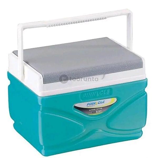 Ice Box 4.5 Litres