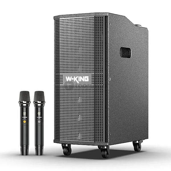 W-king K20