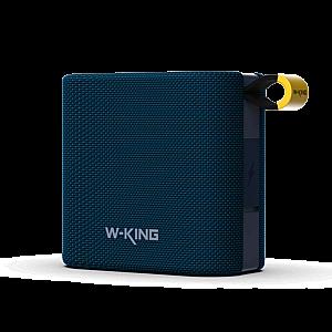 W-KING D2