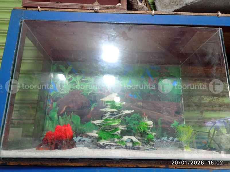 Aquarium Set