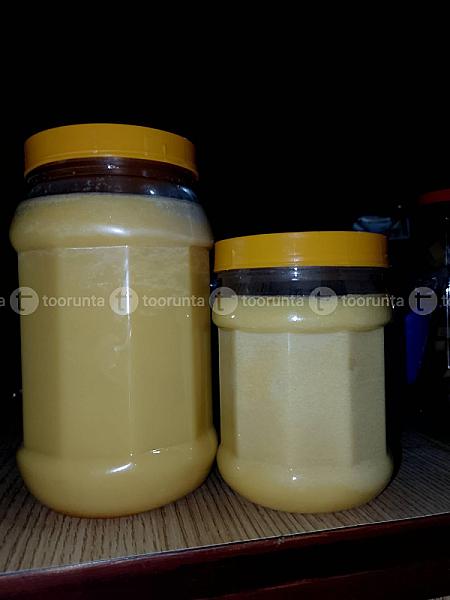 Ghee Ilam(cow)