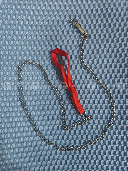 Dog Chain (Small Dogs)