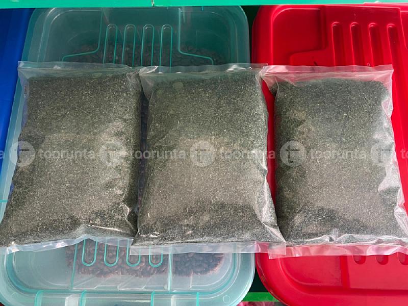 Sisnu Powder 360gm