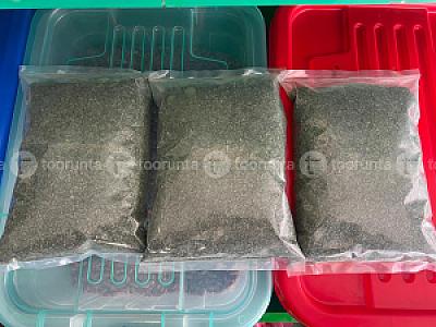 Sisnu powder 360gm