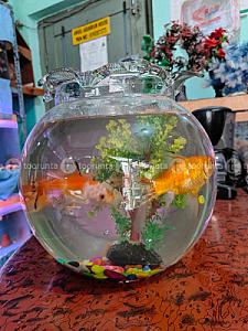 Fish bowl with fish