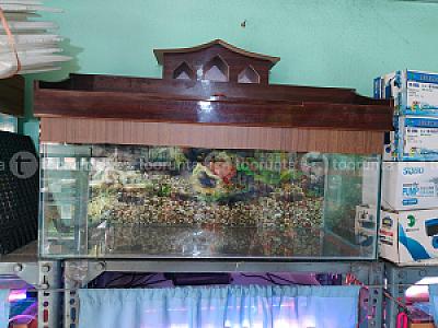 Fish Aquarium M sized