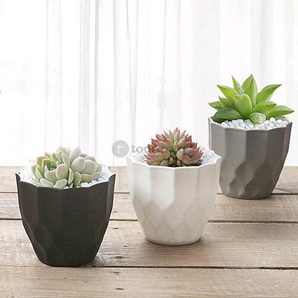 Poly Garden / Plastic Flower Pots 9201 – 9.5 X 8.5 Cm