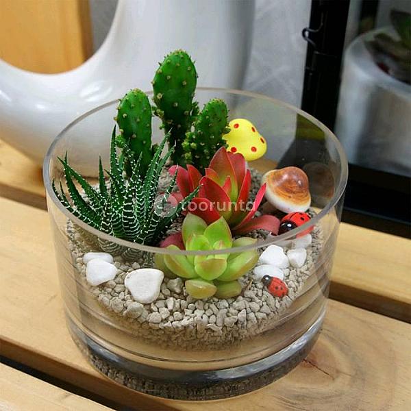 Poly Garden / Cylindrical Glass Plant Pot