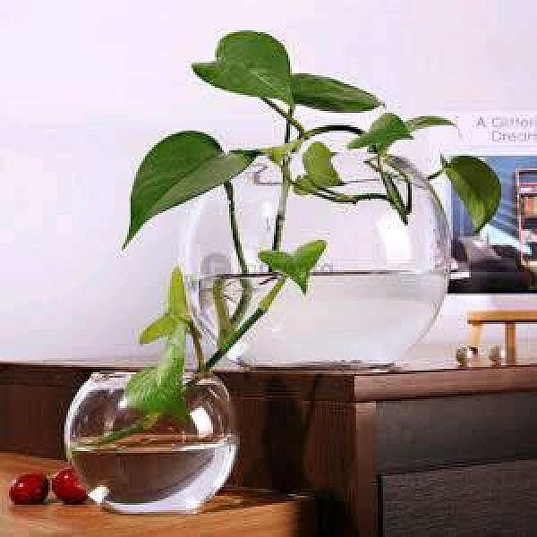 Minimalist Glass Bowl Vase – Ideal For Lucky Bamboo, Plants Or Fish