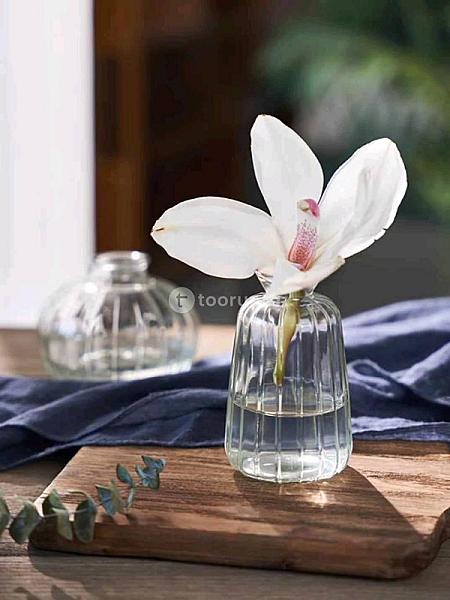 Floral Essence / Mini Ribbed Glass Vase
